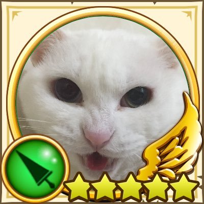 ミミ⚮̈さんのプロフィール画像