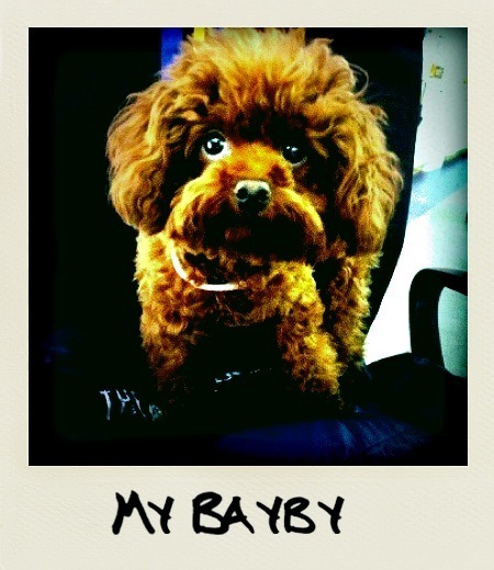 madaboutkaren's profile picture. 