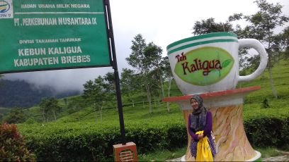 nirmalasari_eli's profile picture. 