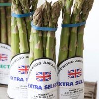 PortwoodAsparagus (@asparagusnfk) 's Twitter Profile