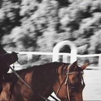 N ✨ (@xalnoufx) Twitter profile photo