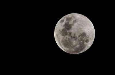 pavadas_varias's profile picture. 