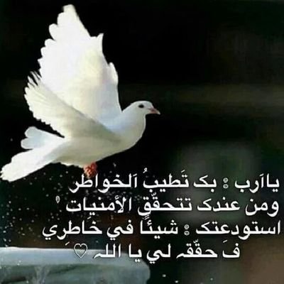 Ashd244Hassan's profile picture. 