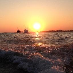 CarolinaFishkin's profile picture. 