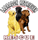 LabRescue's profile picture. Labrador Retriever Rescue, Inc.