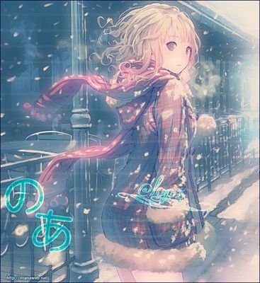 Noahさんのプロフィール画像