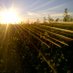 Kevin Popp (@kp_vsa_farm) Twitter profile photo Kevin Popp (@kp_vsa_farm) Twitter profile photo