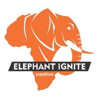 @ElephantIgnite (@elephantignite) 's Twitter Profile