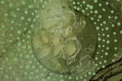 MiahRiad's profile picture. 