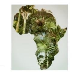 KewAfrica Profile Picture