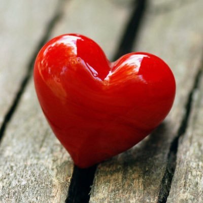 christinej7's profile picture. 