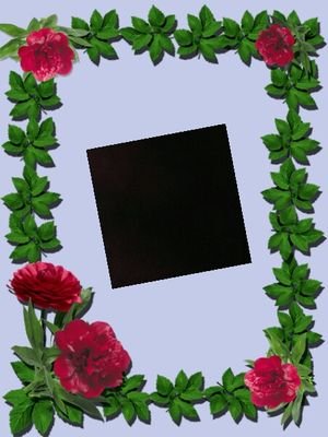 moml98046's profile picture. 