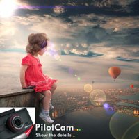 PilotCam AraçKamera (@pilotcamera) 's Twitter Profile