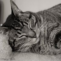 marcw932's profile picture. Photography Enthusiast, Loves NIKON, Scout, NIKON D3100