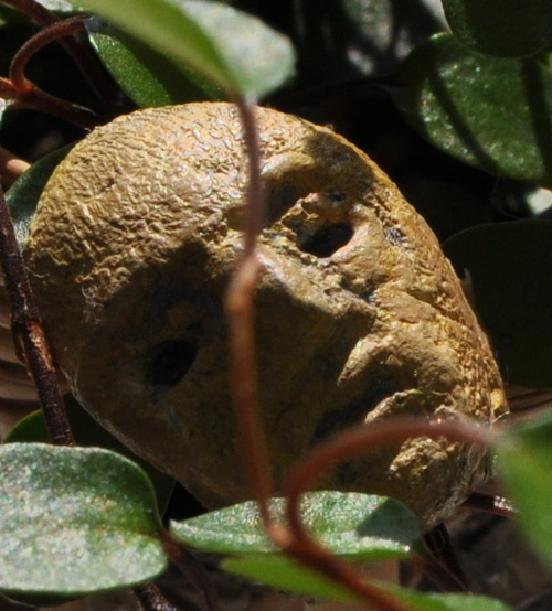 mameko34's profile picture. 酒ばっか飲んでます。