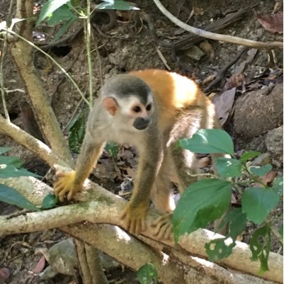 gare_guy's profile picture. 