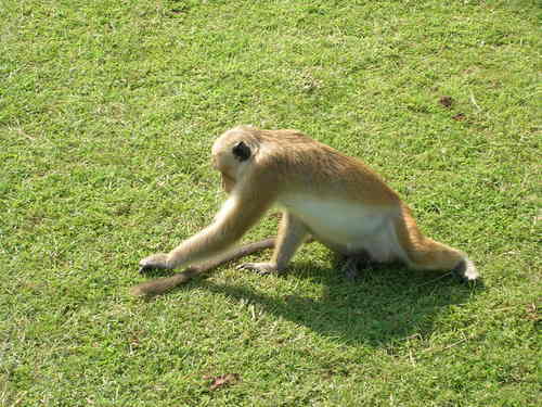 fsmonty's profile picture. 