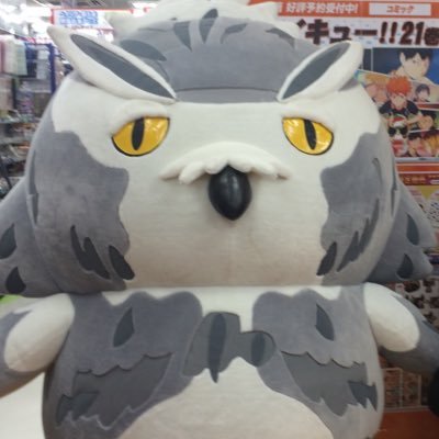 ゆりぼうさんのプロフィール画像