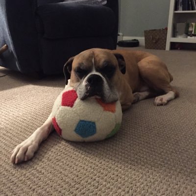 mcd814's profile picture. go fast enough to get there but slow enough to see.