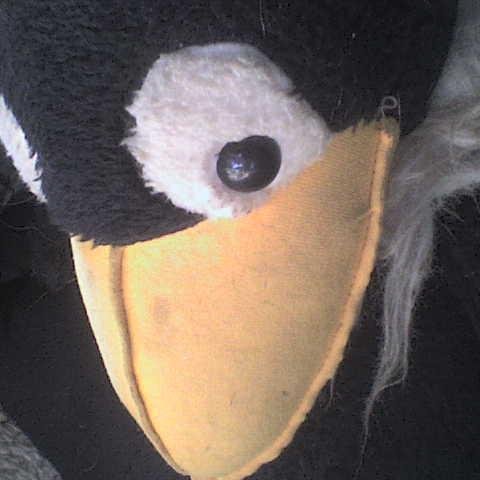 baronfreiherr's profile picture. 