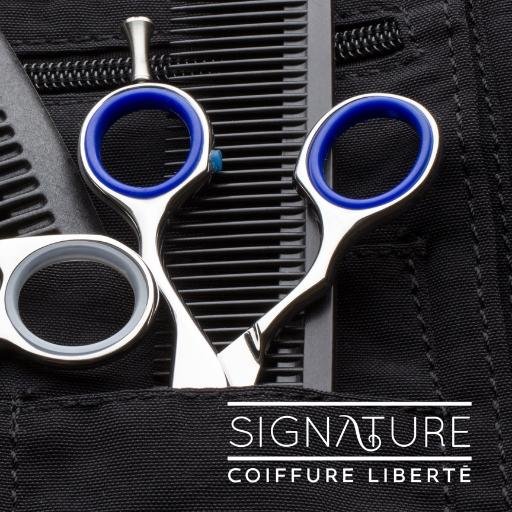Responsable du marketing et de la promotion pour Signature Coiffure Liberté, un salon nouvelle tendance dans le domaine de la coiffure.