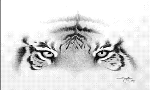 2techdotnet's profile picture. Technology News as it happens