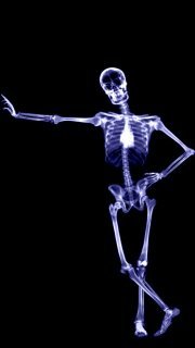 rajesh030405's profile picture. 