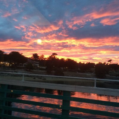 Michael_R_Ward's profile picture. 