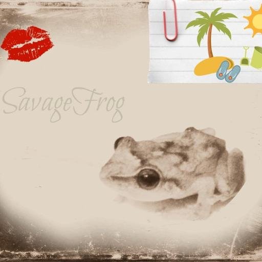 SavageFrogPR Profile Picture