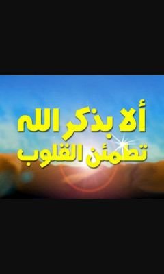 FD7hcemwvYgs8lL's profile picture. 