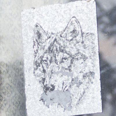 africarayon's profile picture. africarayon☆gmail☆com