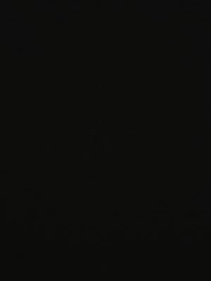 qan5221's profile picture. 