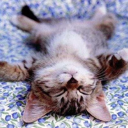 MaryPlaza46's profile picture. 