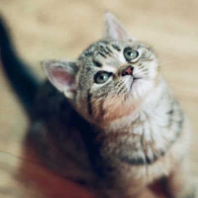 game_fighting's profile picture. 성공적인 업무를 위해 만들었습니다.