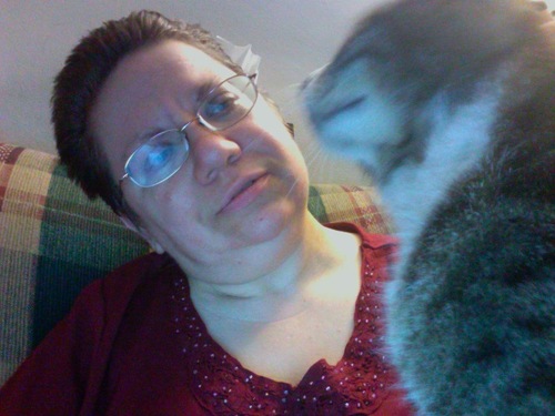software developer (Ruby, C#, more to come), cat parent, occasional knitter