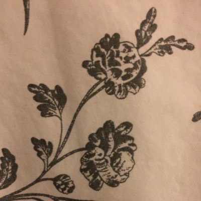 mircea1984's profile picture. 