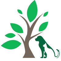 Beechwood Vets Leeds (@beechwoodvets) 's Twitter Profile