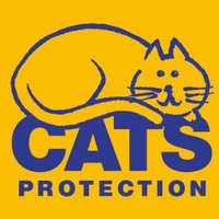 Protect Your Cat (@bham_neutering) 's Twitter Profile