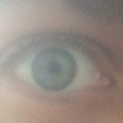 BuschlerA's profile picture. 