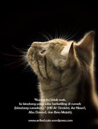 NurulIslami7's profile picture. Hate something that make you turn from Him