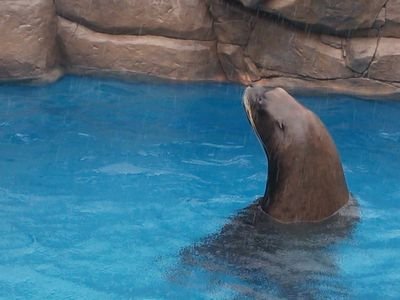 山形在住。嫌いなもの…差別と偏見、チャレンジ系料理(無限激辛、大食いチャレンジ) 最近、推しを胸張って言える様になりました。推し……麻倉まりなさん@marina19920420、高嶺のなでしこ@takanenofficial ZARDは前から好きです。