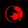 Boccia_Canada's profile picture. The X (Twitter) account of the Canadian National Boccia Team #taketheshot // Le compte X (Twitter) de l'équipe nationale canadienne de boccia #àtoidejouer