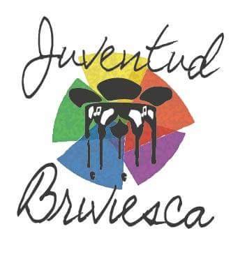 ESPACIO JOVEN, PUNTO DE INFORMACION JUVENIL y LUDOTECA TOPILLOS. Servicio dirigido a la poblacion infantil y juvenile (hasta los 35 años) del Ayto de Briviesca