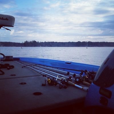 mattwhite866's profile picture. 