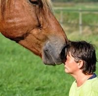horsemanshipperin, cheffe auf ponyhof, ride-kinetic-trainer, kann also mit brain, erstaunlich gechillt trotz großer Familie und vielen Viechereien 🤔