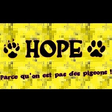 #Hopepetfood #croquettes sans céréales pour #chiens et #chats. 5€ de #réduction avec le code BIENVENUE Nous cherchons des #distributeurs