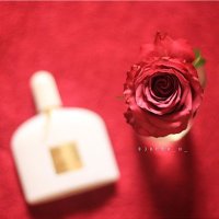 عمآن القلب (@beeto_m) 's Twitter Profile Photo