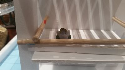 karriteacher's profile picture. learner, teacher, reader, traveller. passionate about student action and activism.