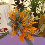 Floristería en Vicar,Almería, frente Ayto,con amplia experiencia en Decocación y Arte Floral para tus eventos especiales.