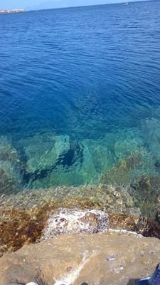 osman44348's profile picture. 